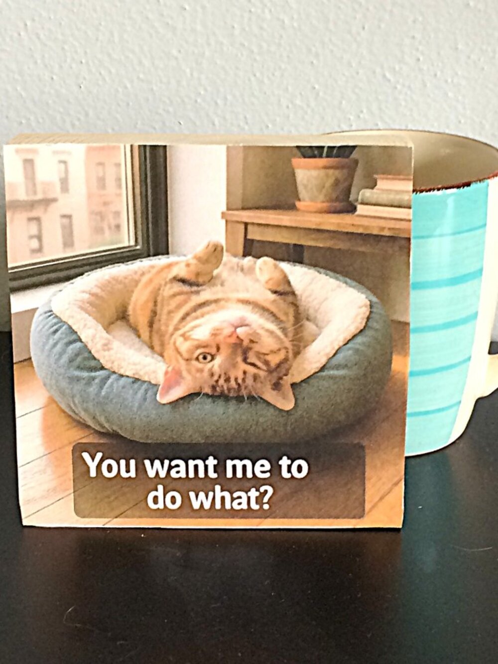 Upside-Down Cat With Attitude – Handmade Wood Block Sign-New